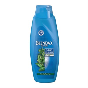 Blendax Isırgan Özlü  Saç Dökülmesine Karşı Şampuan Tüm Saç Tiplerine Uygundur 550 ml